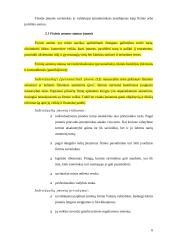 Fizinio ir juridinio asmens statusas įmonėje 6 puslapis