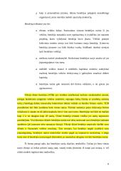 Fizinio ir juridinio asmens statusas įmonėje 8 puslapis