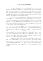 Įmonės analizė: finansinės paslaugos AB "SEB Vilniaus bankas" 7 puslapis