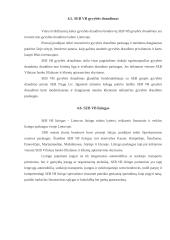 Įmonės analizė: finansinės paslaugos AB "SEB Vilniaus bankas" 10 puslapis
