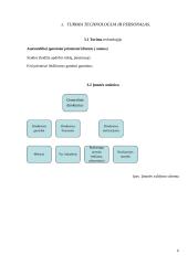 Įmonės aplinkos įvertinimas: UAB "Fauga" 6 puslapis