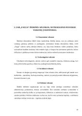 Įmonės aplinkos įvertinimas: UAB "Fauga" 10 puslapis