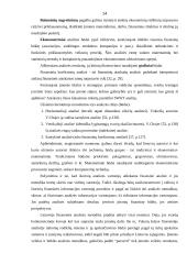 Įmonės finansinės būklės įvertinimo būdai 14 puslapis