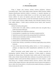 Įmonės finansinės būklės įvertinimo būdai 17 puslapis