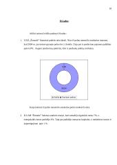 Įmonės finansų analizė: UAB "Žemaitė" 18 puslapis