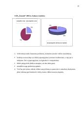 Įmonės finansų analizė: UAB "Žemaitė" 19 puslapis