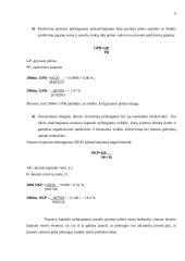 Įmonės finansų analizė: UAB "Žemaitė" 9 puslapis