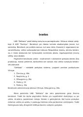 Įmonės pardavimo valdymo ypatybės: UAB "Delikata" 2 puslapis