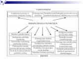 Įmonės pozicionavimo ir perpozicionavimo politika 12 puslapis