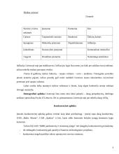 Įmonės rinkodaros veiklos įvertinimas: UAB "MBR parduotuvių ir restoranų įranga" 8 puslapis