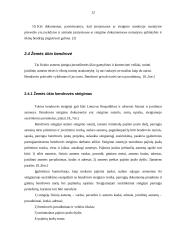 Juridinio asmens steigimas 11 puslapis