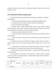 Juridinio asmens steigimas 14 puslapis