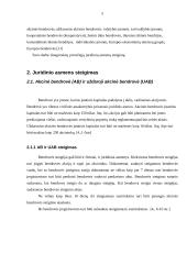 Juridinio asmens steigimas 4 puslapis