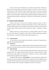 Įmonės strateginis valdymas: AB bankas "Snoras" 6 puslapis