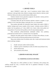 Įmonės veiklos analizė: centrinio šildymo katilų gamyba "Nerdita" 3 puslapis
