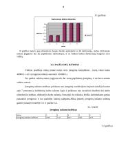 Įmonės veiklos analizė: centrinio šildymo katilų gamyba "Nerdita" 4 puslapis