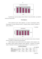 Įmonės veiklos analizė: centrinio šildymo katilų gamyba "Nerdita" 5 puslapis