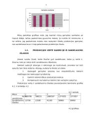 Įmonės veiklos analizė: centrinio šildymo katilų gamyba "Nerdita" 7 puslapis