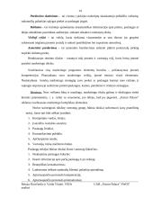 Įmonės veiklos analizė: sportas, pramogos ir verslas UAB "Forum Palace" 13 puslapis