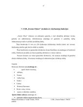 Įmonės veiklos analizė: sportas, pramogos ir verslas UAB "Forum Palace" 16 puslapis
