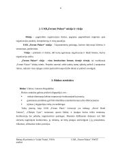 Įmonės veiklos analizė: sportas, pramogos ir verslas UAB "Forum Palace" 5 puslapis