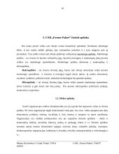Įmonės veiklos analizė: sportas, pramogos ir verslas UAB "Forum Palace" 9 puslapis