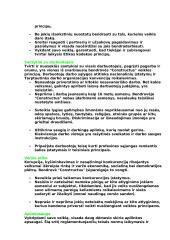 Įmonės veiklos aprašymas: UAB "Constructus" 5 puslapis