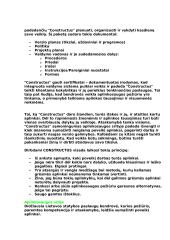 Įmonės veiklos aprašymas: UAB "Constructus" 9 puslapis