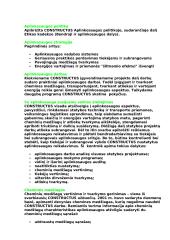 Įmonės veiklos aprašymas: UAB "Constructus" 10 puslapis