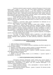 Įmonės veiklos rezultatai ir jų paskirstymas 5 puslapis