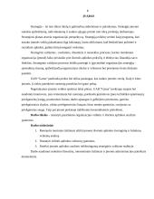 Įmonės vidinė ir išorinė aplinka: UAB "Gama" 2 puslapis