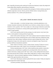 Įmonės vidinė ir išorinė aplinka: UAB "Gama" 8 puslapis