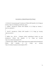 Įmonių konkurencingumo palyginimas:  "flyLAL" ir "airBaltic" 12 puslapis