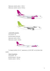 Įmonių konkurencingumo palyginimas:  "flyLAL" ir "airBaltic" 4 puslapis