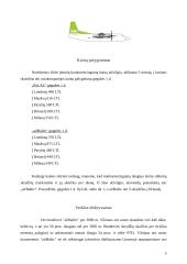 Įmonių konkurencingumo palyginimas:  "flyLAL" ir "airBaltic" 5 puslapis