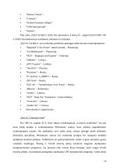 Įmonių konkurencingumo palyginimas:  "flyLAL" ir "airBaltic" 10 puslapis