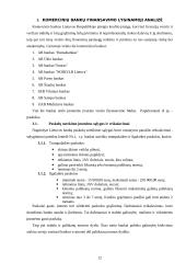 Įmonių kreditavimo galimybių studijos 12 puslapis