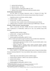 Įmonių kreditavimo galimybių studijos 15 puslapis