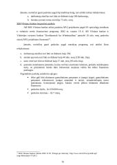 Įmonių kreditavimo galimybių studijos 16 puslapis