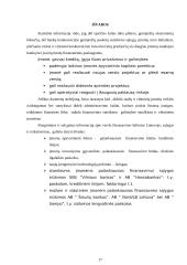 Įmonių kreditavimo galimybių studijos 17 puslapis