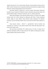 Įmonių kreditavimo galimybių studijos 7 puslapis