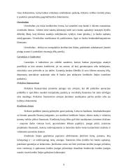 Įmonių kreditavimo galimybių studijos 9 puslapis