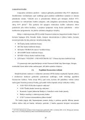 Įmonių kreditavimo galimybių studijos 10 puslapis