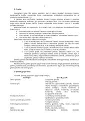 Įmonių raida 2 puslapis