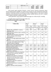 Įmonių raida 12 puslapis