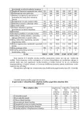 Įmonių raida 14 puslapis