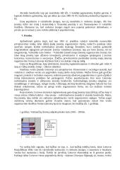 Įmonių raida 16 puslapis