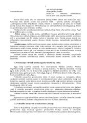 Įmonių raida 3 puslapis