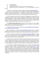 Įmonių raida 5 puslapis