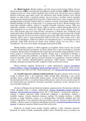 Įmonių raida 6 puslapis